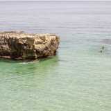 ...magari riposandosi durante il tragitto su uno scoglio emerso in mezzo al mare
